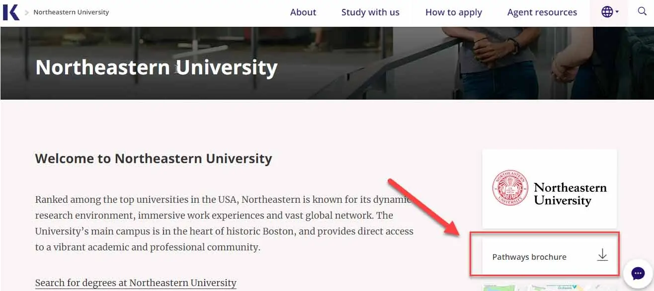 education web design