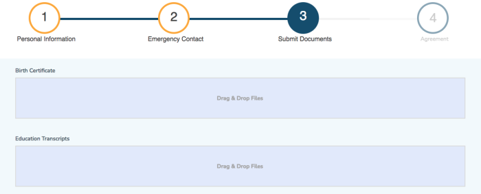 online application portal