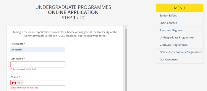 online application portals for schools