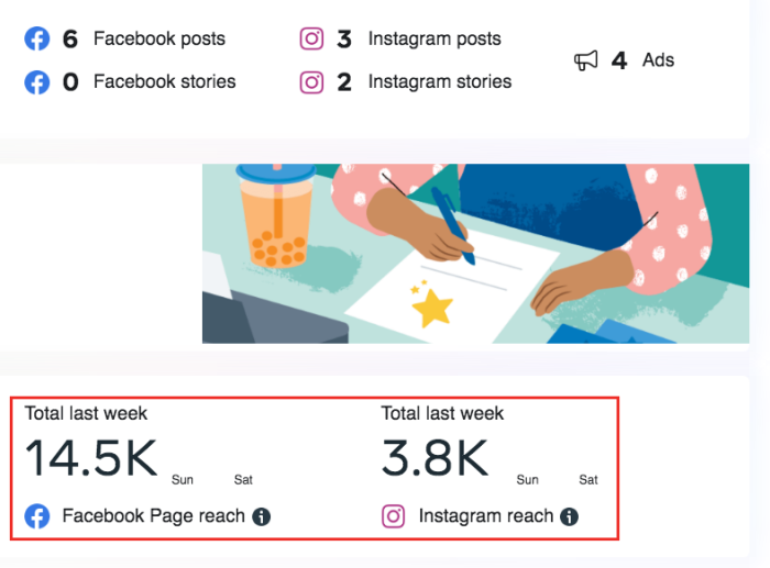 FB insights FB and IG reach