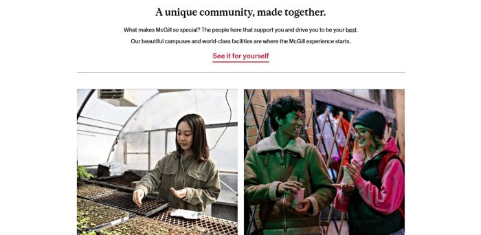 The image features a university community webpage promoting supportive campus experiences and student connections Two photographs show students gardening inside a greenhouse and socializing outdoors, reinforcing themes of collaboration, diversity, belonging, and welcoming academic environments.